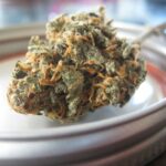 Is Consuming and Buying Cannabis Legal in Canada?